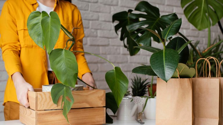 How to Pack Plants for Moving